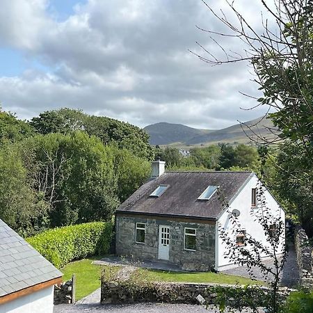 Bryn Rhedyn Cottage Cwm-y-glo Esterno foto