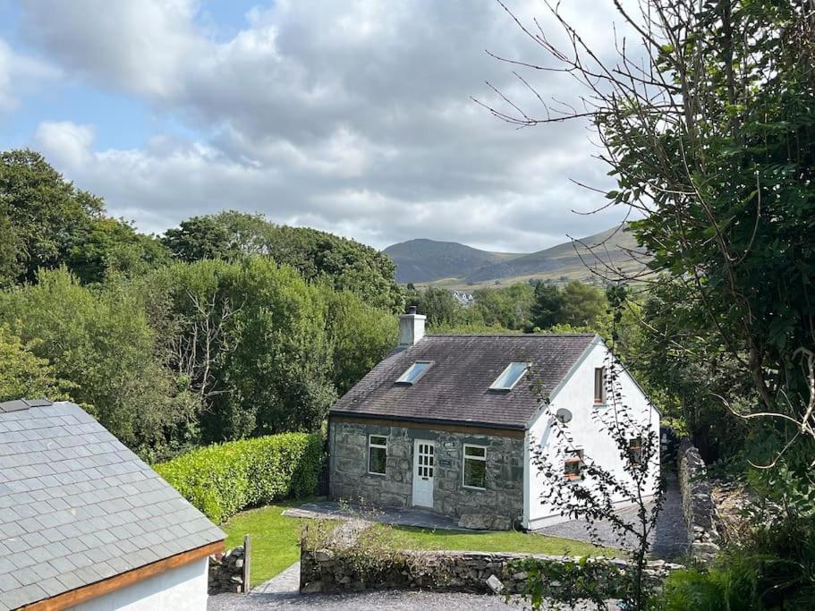 Bryn Rhedyn Cottage Cwm-y-glo Esterno foto